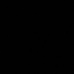 Meet your Posher, Julian